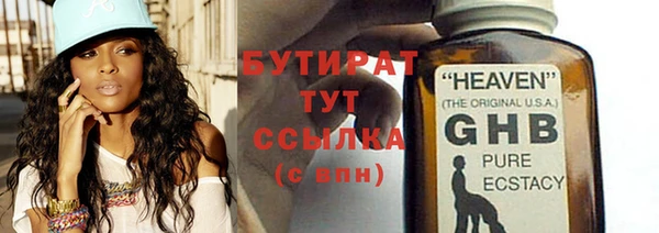 сатива Инта