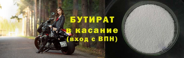 сатива Инта