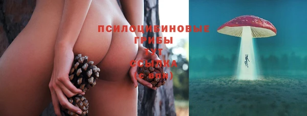 ECSTASY Иннополис