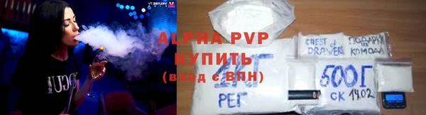 сатива Инта