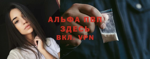 сатива Инта