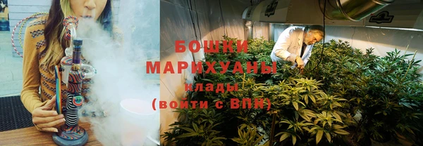 сатива Инта
