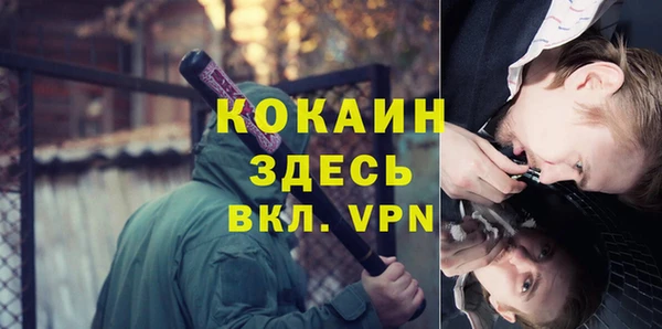 сатива Инта