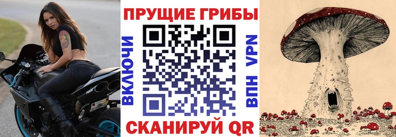 Галлюциногенные грибы Psilocybine cubensis Каменка